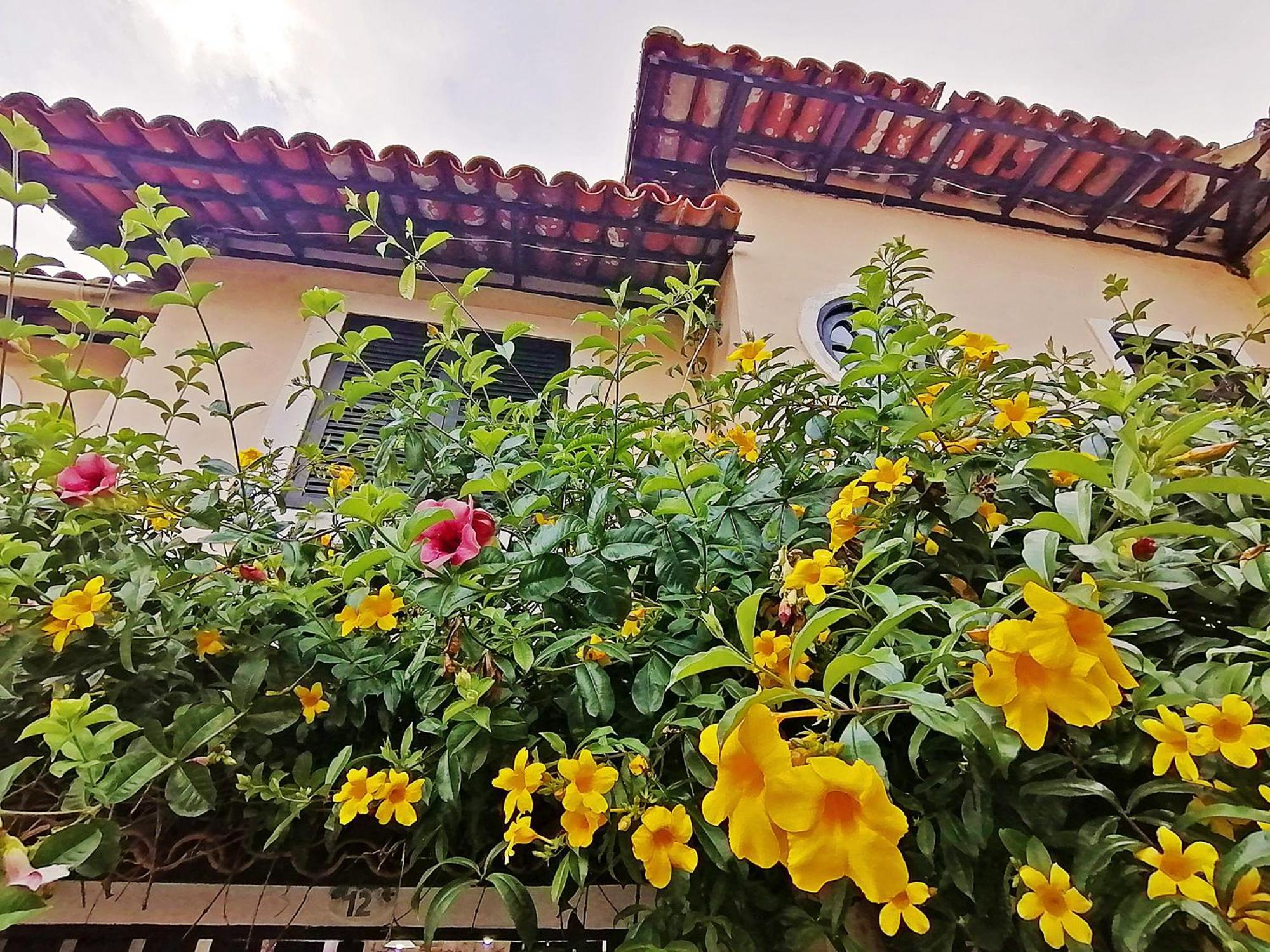 Casa A 500M Da Rua Das Pedras Em Lindo Condominio Com Portaria 24H Búzios Eksteriør billede