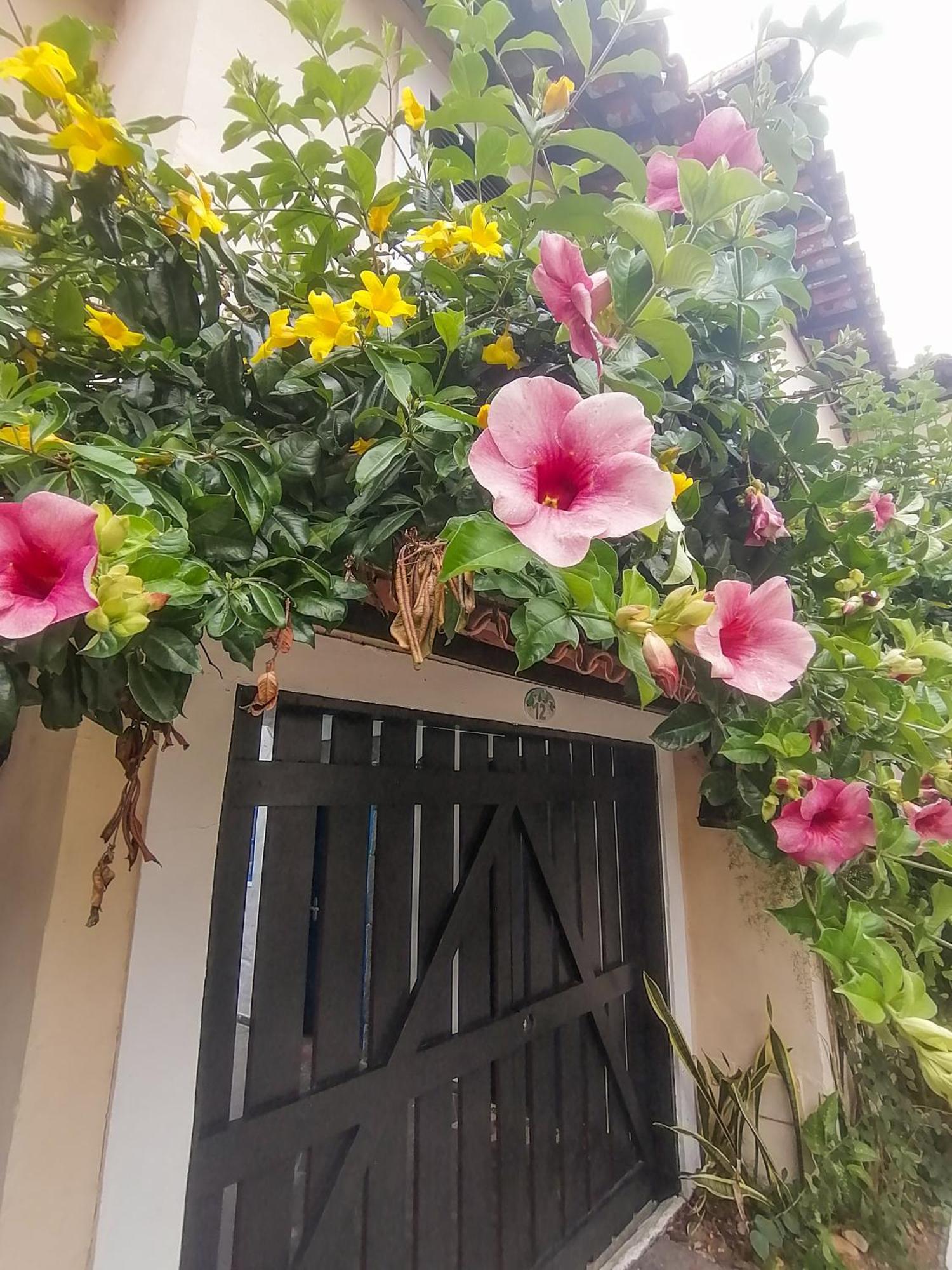 Casa A 500M Da Rua Das Pedras Em Lindo Condominio Com Portaria 24H Búzios Eksteriør billede