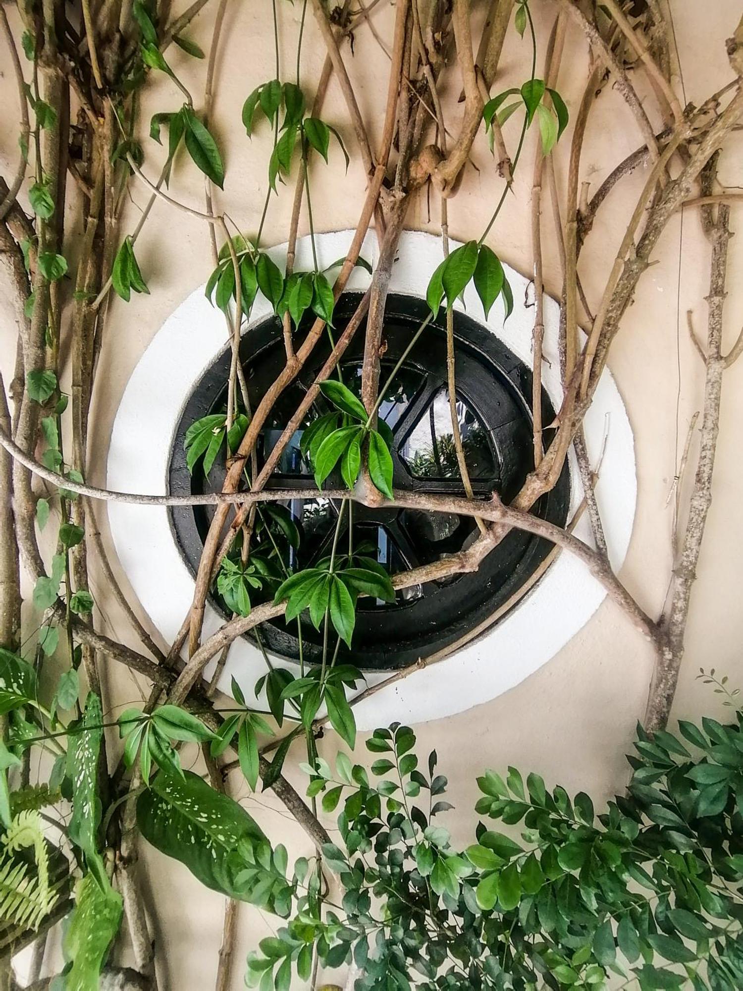 Casa A 500M Da Rua Das Pedras Em Lindo Condominio Com Portaria 24H Búzios Eksteriør billede